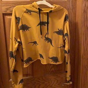 Cropped Dinosaur Hoodie